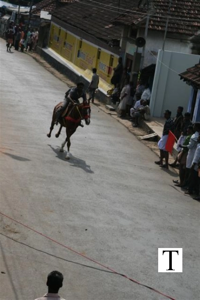 2007-kuthiravela-angadivela_1103-small-