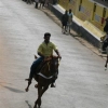 2007-kuthiravela-angadivela_1104-small-