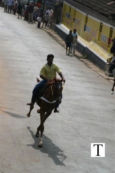 2007-kuthiravela-angadivela_1104-small-