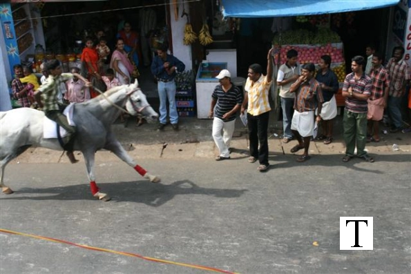 2007-kuthiravela-angadivela_1107-small-