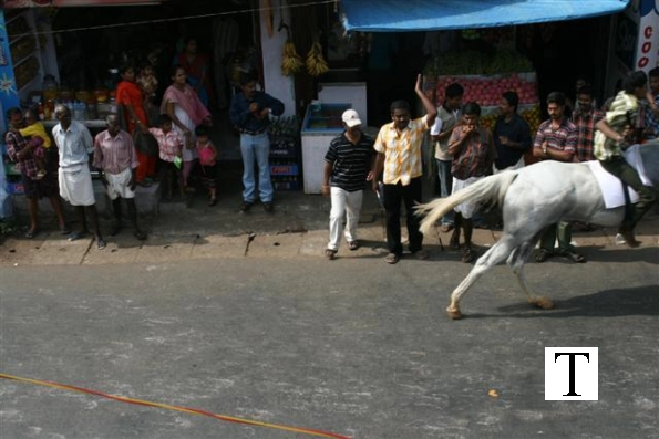 2007-kuthiravela-angadivela_1108-small-