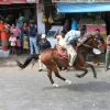 2007-kuthiravela-angadivela_1112-small-