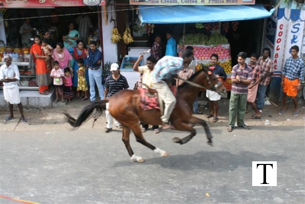 2007-kuthiravela-angadivela_1112-small-