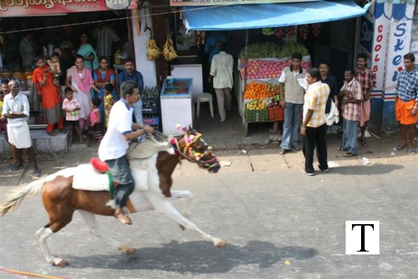 2007-kuthiravela-angadivela_1115-small-