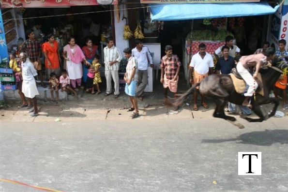 2007-kuthiravela-angadivela_1119-small-