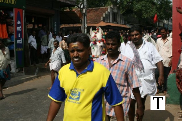 2007-kuthiravela-angadivela_1127-small-