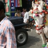 2007-kuthiravela-angadivela_1128-small-