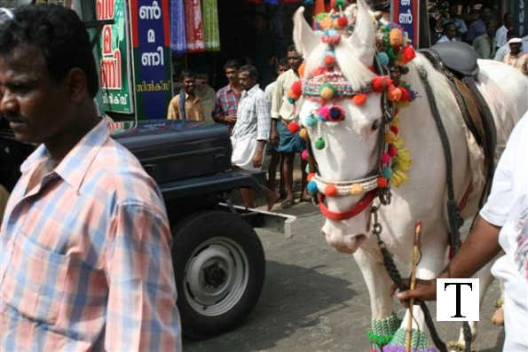 2007-kuthiravela-angadivela_1128-small-