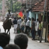 2007-kuthiravela-angadivela_1130-small-