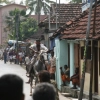 2007-kuthiravela-angadivela_1134-small-