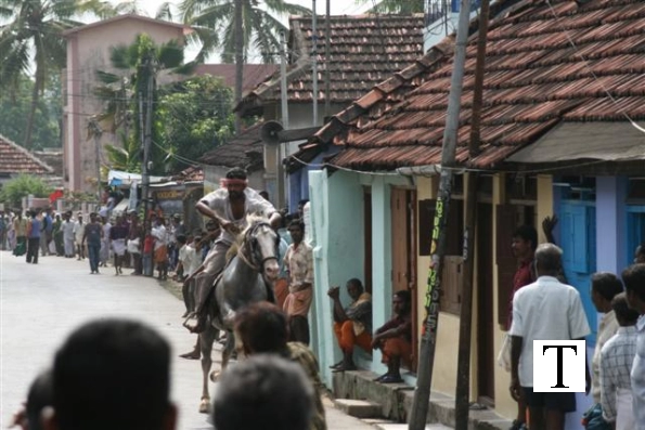 2007-kuthiravela-angadivela_1134-small-