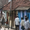 2007-kuthiravela-angadivela_1135-small-