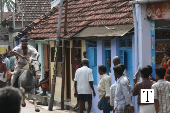 2007-kuthiravela-angadivela_1135-small-