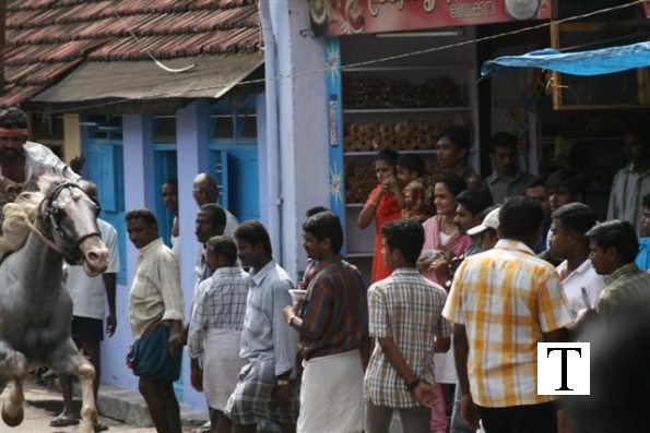 2007-kuthiravela-angadivela_1136-small-