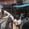 2007-kuthiravela-angadivela_1137-small-