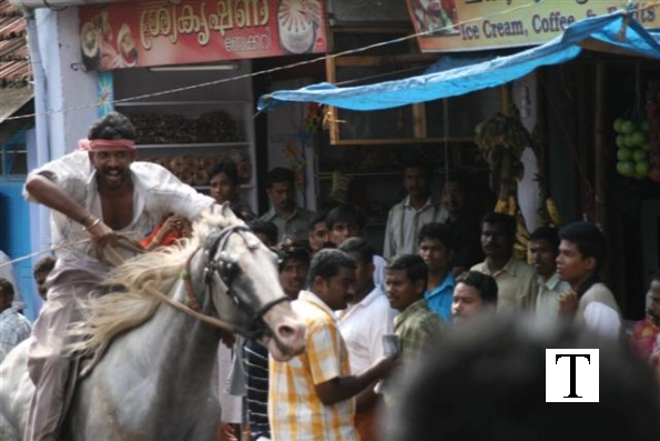 2007-kuthiravela-angadivela_1137-small-