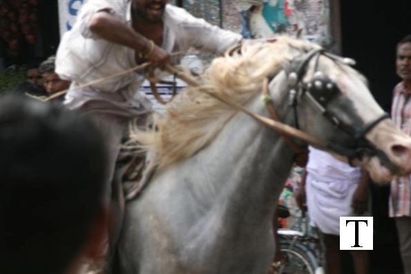 2007-kuthiravela-angadivela_1138-small-