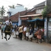 2007-kuthiravela-angadivela_1148-small-