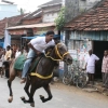 2007-kuthiravela-angadivela_1149-small-