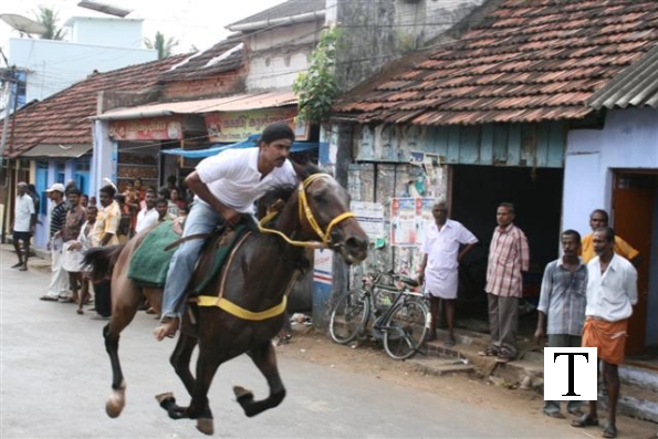 2007-kuthiravela-angadivela_1149-small-