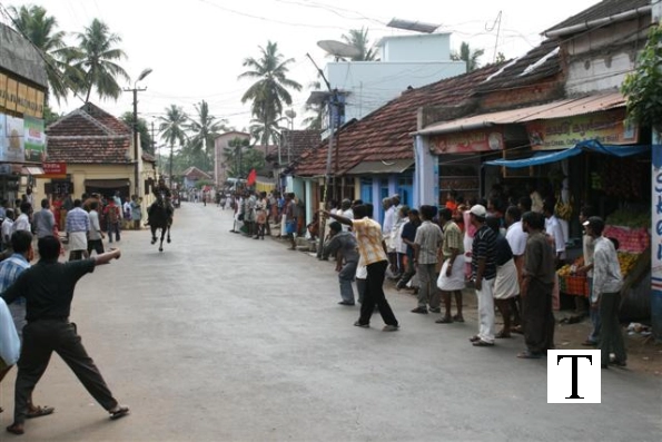 2007-kuthiravela-angadivela_1150-small-