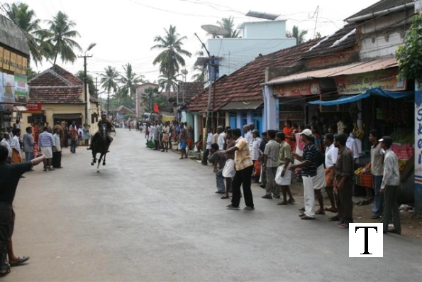 2007-kuthiravela-angadivela_1151-small-