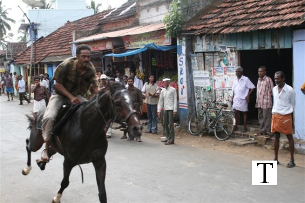 2007-kuthiravela-angadivela_1154-small-