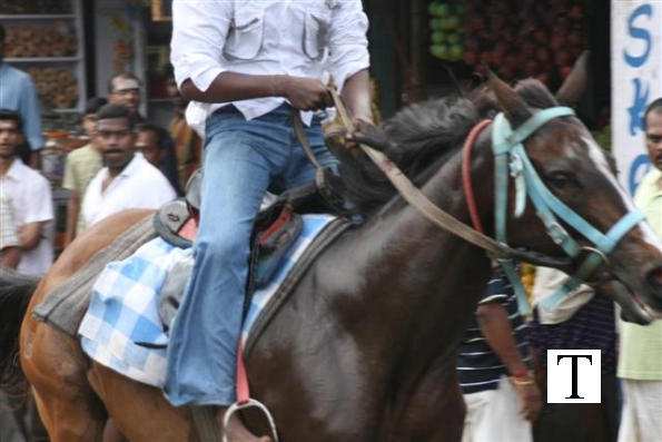 2007-kuthiravela-angadivela_1161-small-