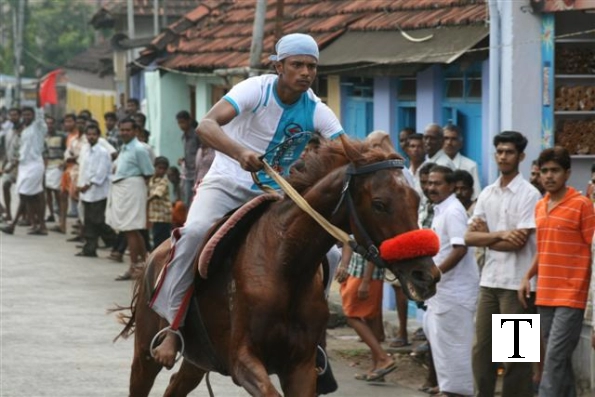 2007-kuthiravela-angadivela_1162-small-