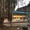 palakkad-pollachi-railwayimg_2846