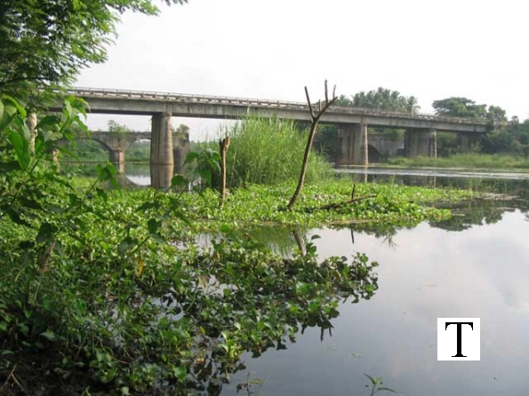 sokanasin-river-chittur
