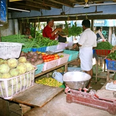 2004-shops-tattamangalam622004-shops-tattamangalam0022004-shops-tattamangalam