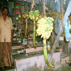 2004-shops-tattamangalam622004-shops-tattamangalam0026