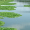 chittur-puzha