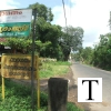 chittur-tattamangalam-pudunagaram