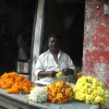 florist-kerala-palakkad