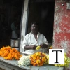 florist-kerala-palakkad