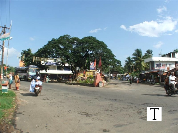 mettupalayam