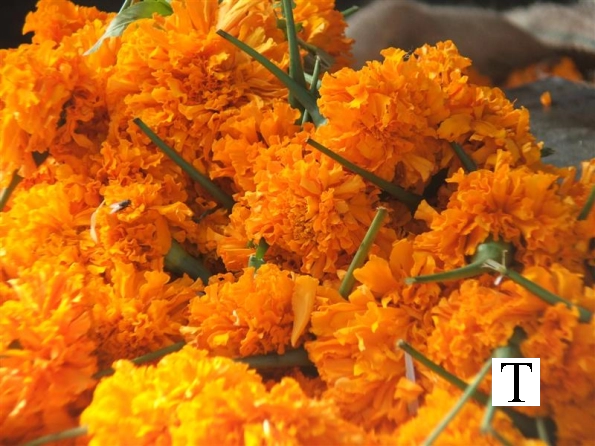 palakkad-florist-kerala