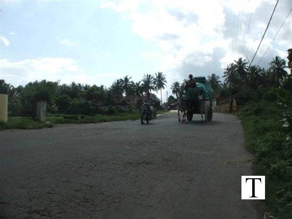 raod-to-chittur