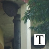 water-tank-bee