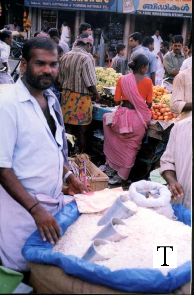 angadi2_jpg