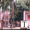 chenthamara_jpg