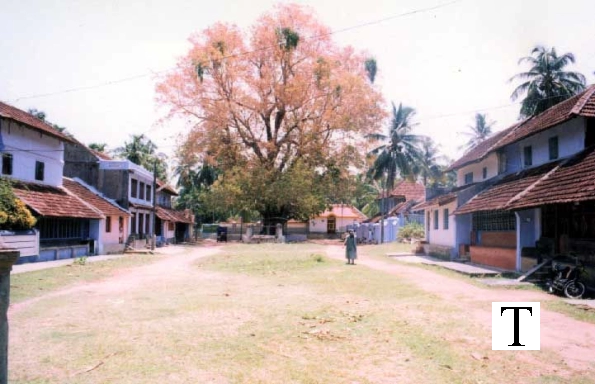 eastern_village1_jpg