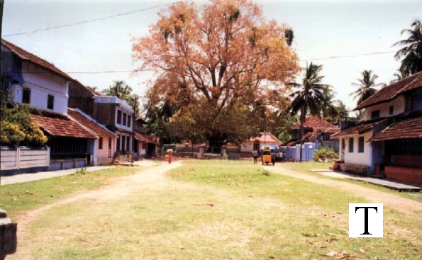 eastern_village2_jpg