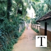 kadavalav