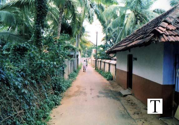 kadavalav