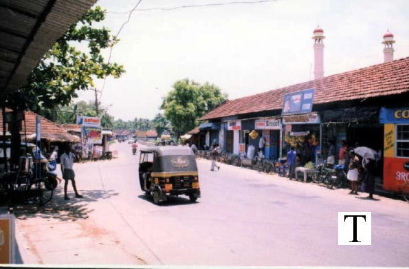palli_mokku_jpg