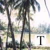 perumkulam_jpg