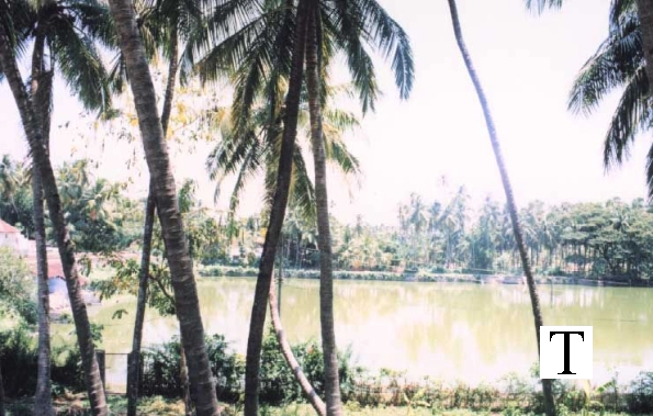 perumkulam_jpg